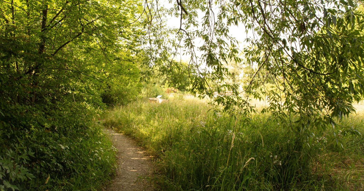 Botanischer Garten Salzburg © Silja Parke - Wilde Möhre Blog